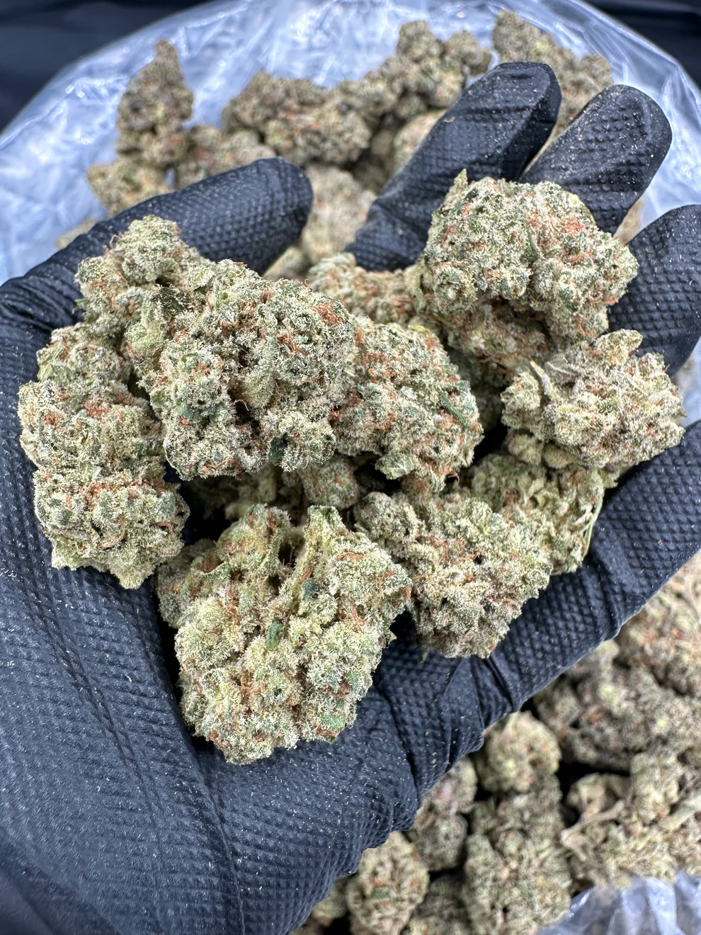 Khalifa Kush (KK)